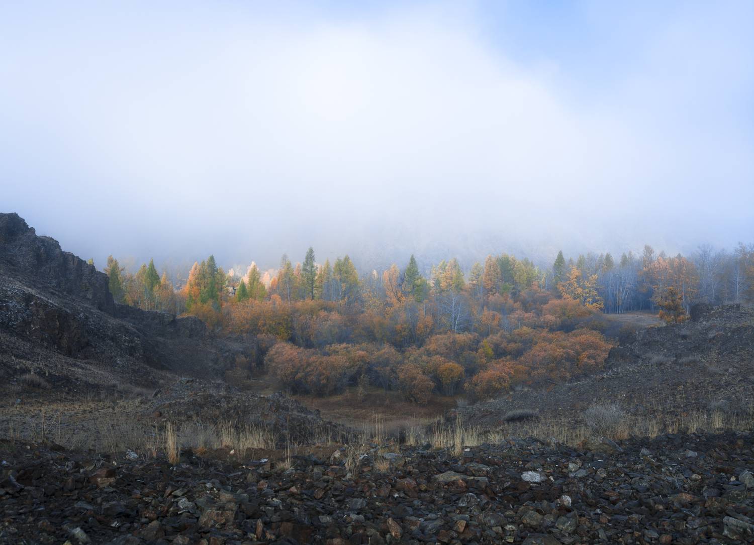 россия, горный алтай, утро, туман, Андрей Поляков