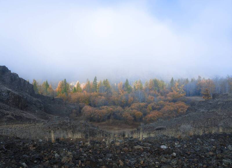 россия, горный алтай, утро, туман Оазис фото превью