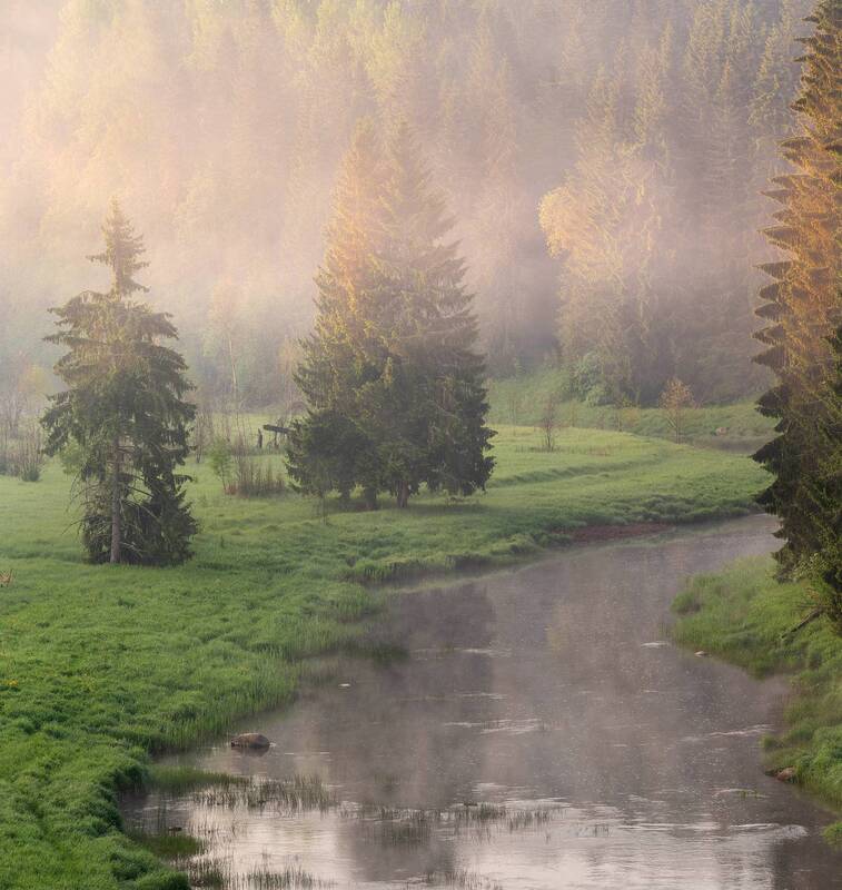 рассвет, туман, река, природа, ленинградская область, пейзаж Утро на реке фото превью