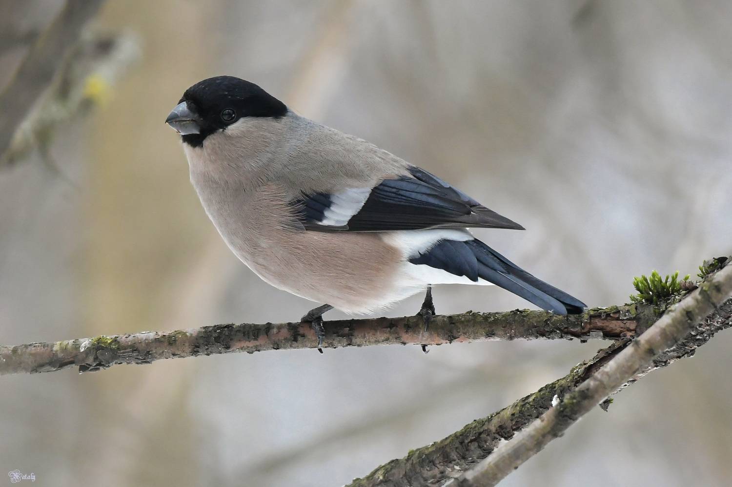 , Наталья Екимова
