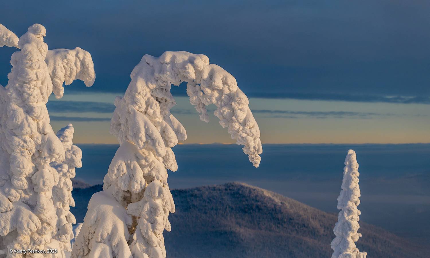 шерегеш, снег, пихты, гора зелёная, горная шория, мороз, зима, сибирь, Пешков Валерий