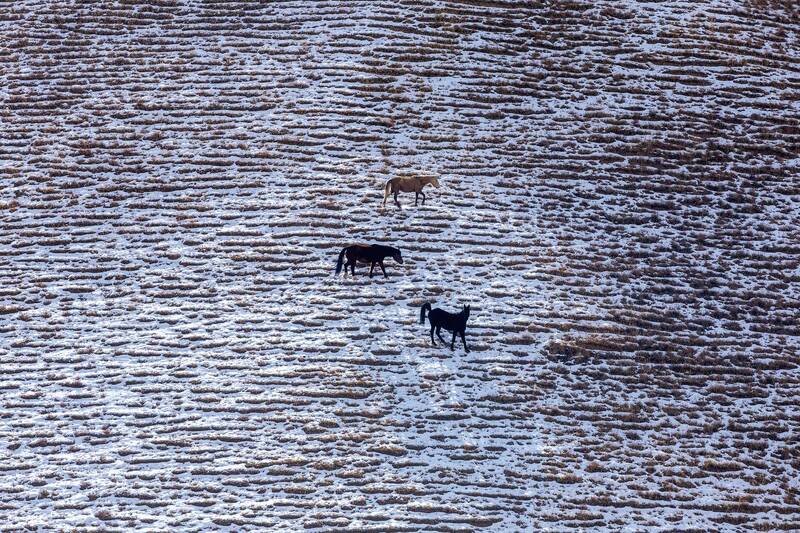 кыргызстан Трио фото превью