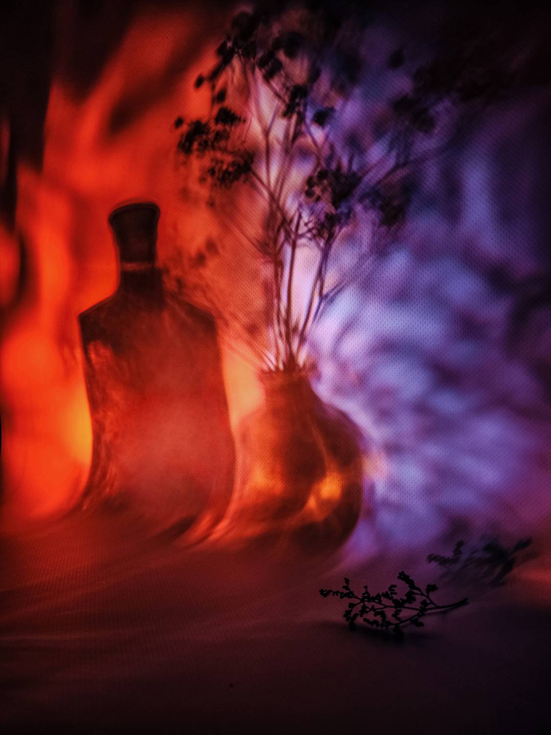 , Елена Литовская