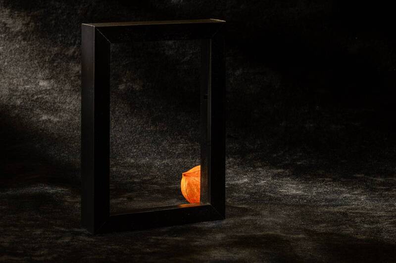 Этюд с физалисом IХ фото превью