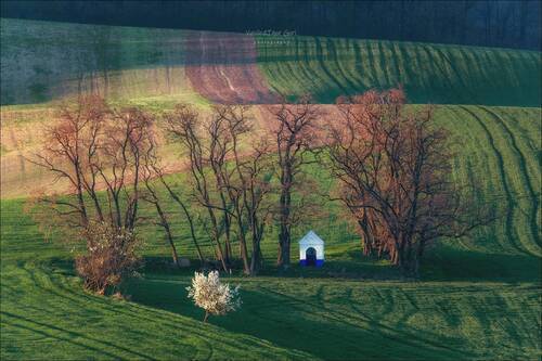 Весна где-то рядом