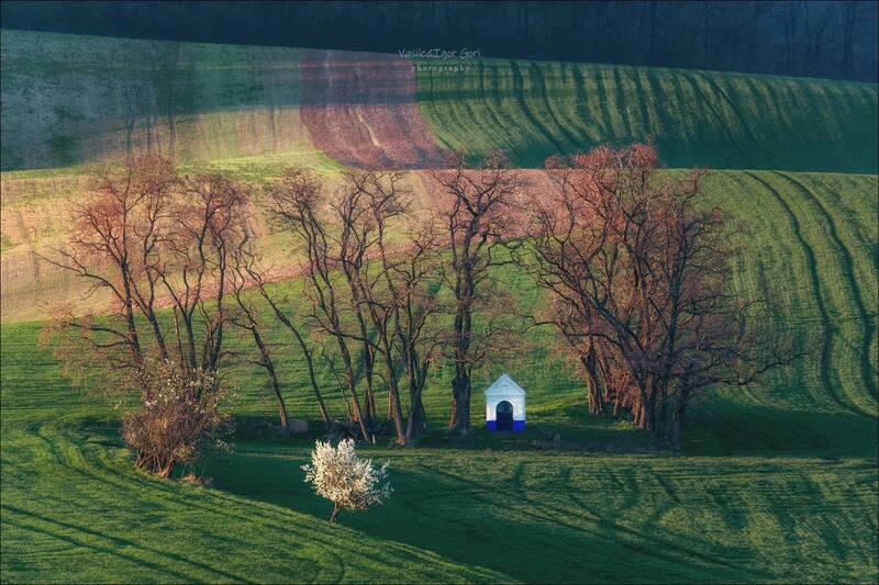 Весна где-то рядом фото превью