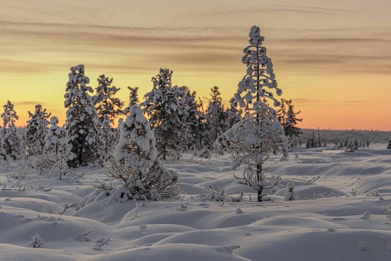 Зимушка зима фото превью