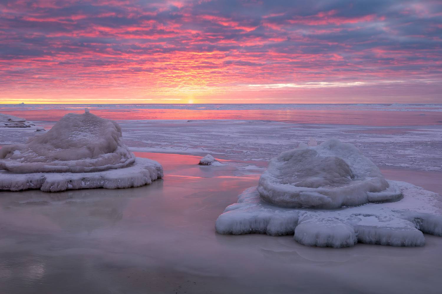 , Гордон Николай