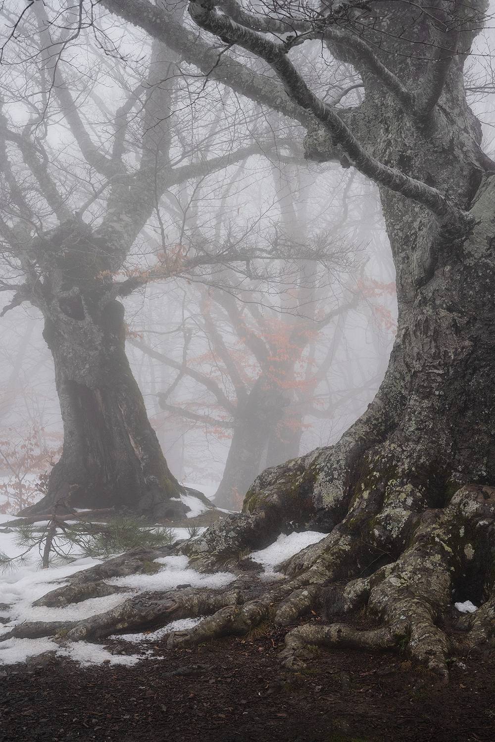 , Андрей Родионов