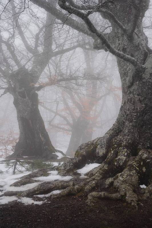 Крым фото превью