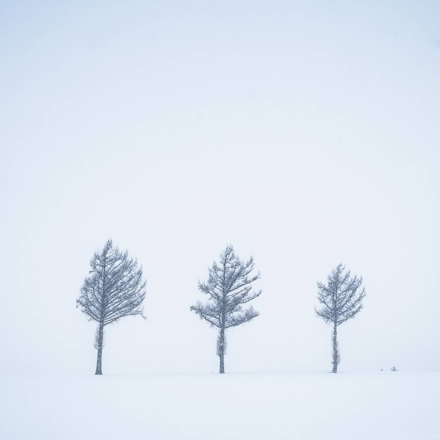 , Даниил Коржонов