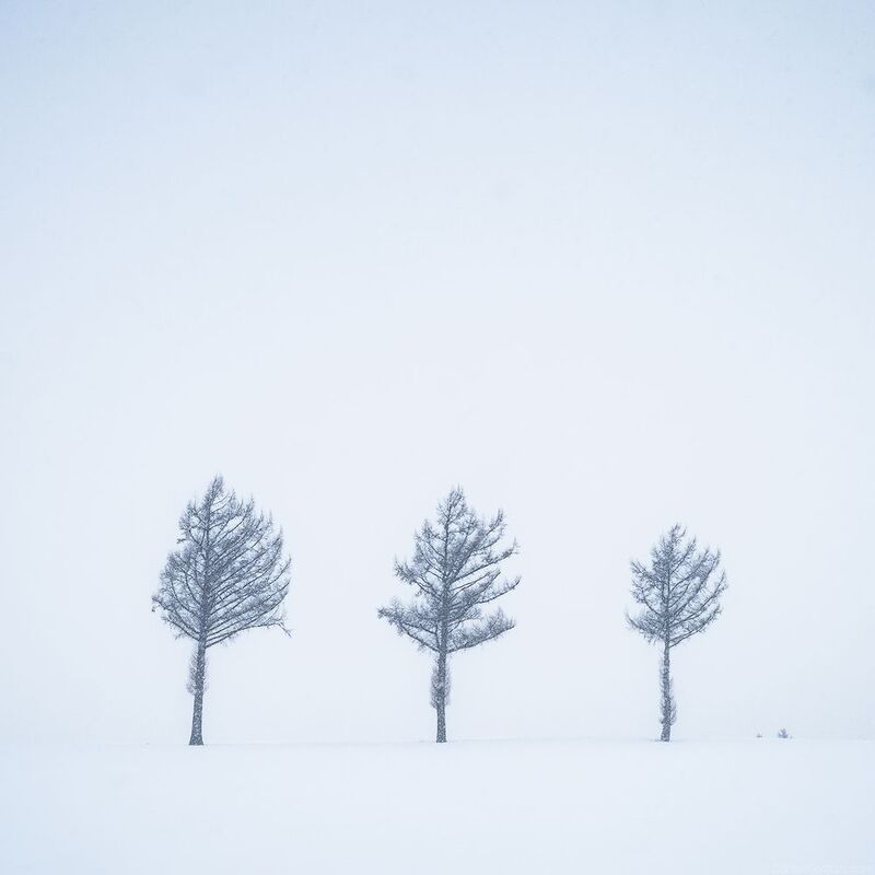 Hokkaido фото превью