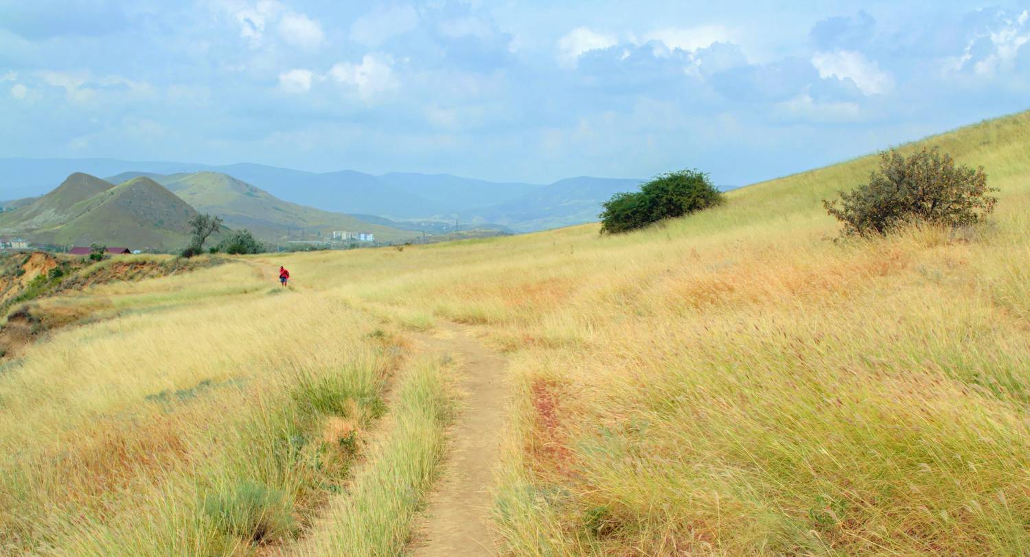 , Лысенко Сергей