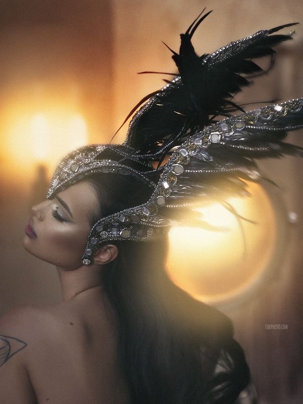 Черный ворон фото превью