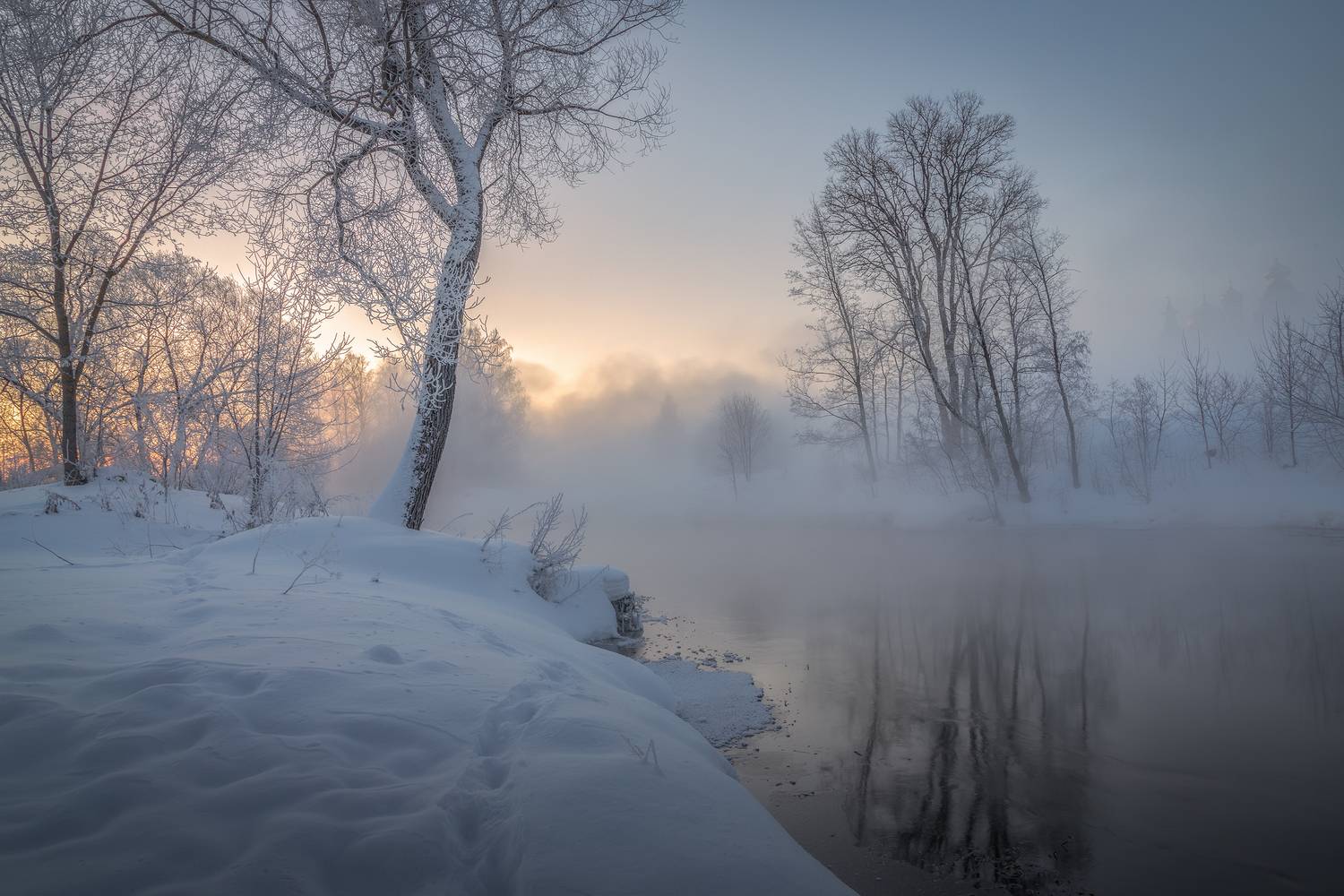Истра, Гусева Елена