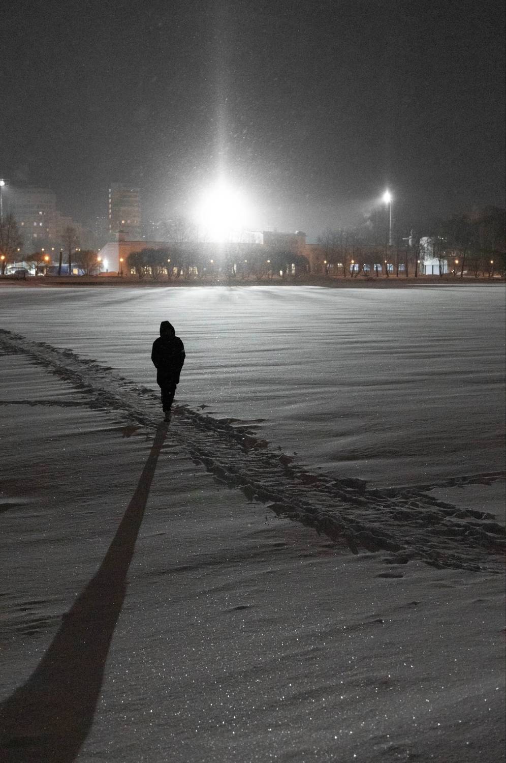 , Всеволод Сахновский