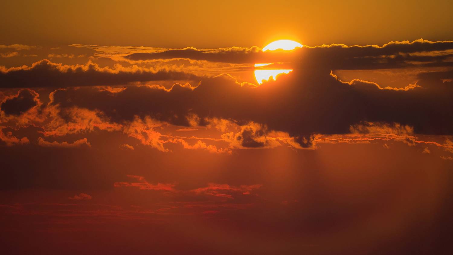 , Кирилл Огинов