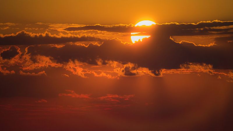 Furtively фото превью