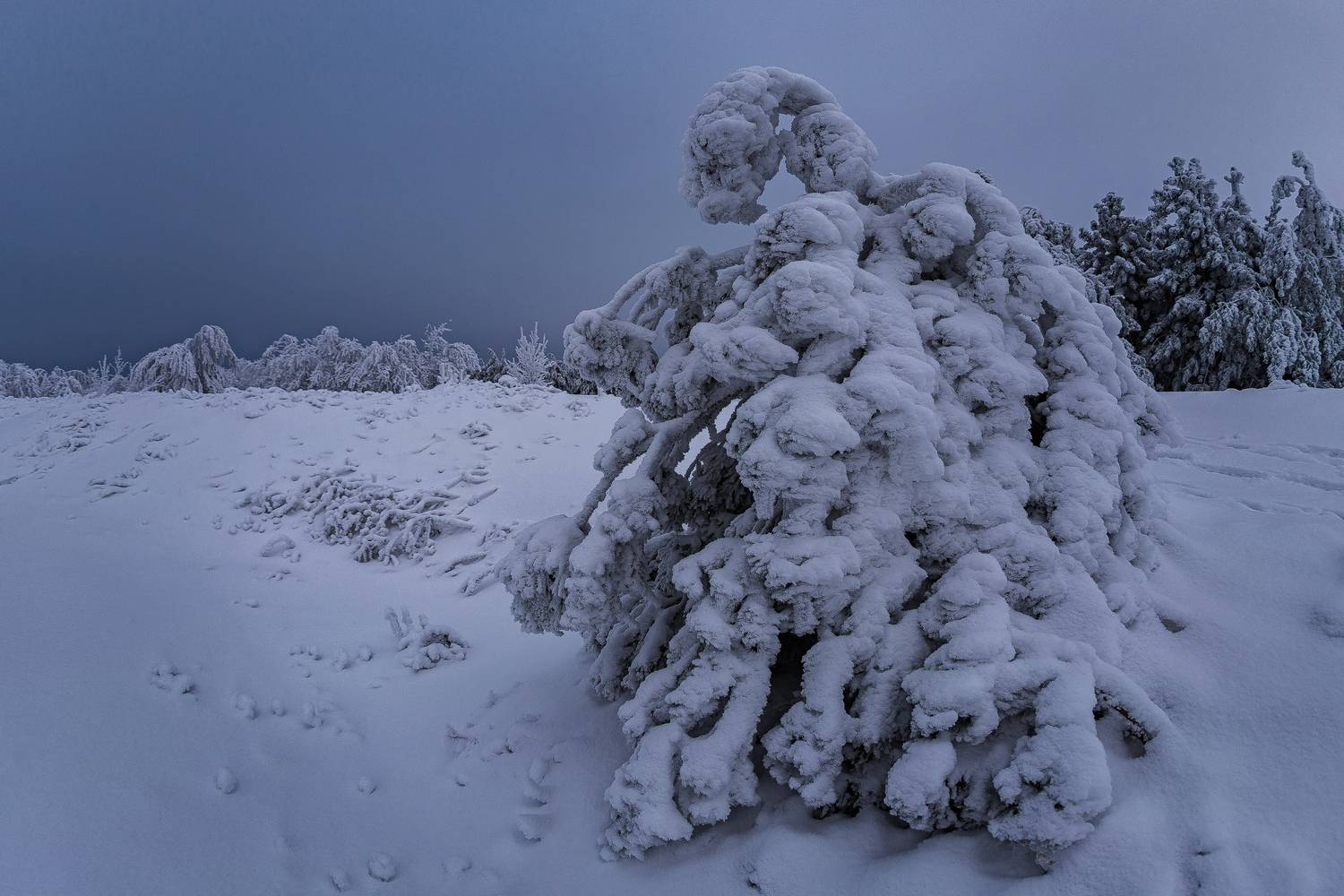 , Подосинников Максим
