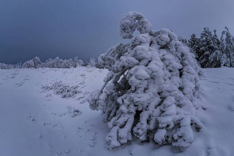 Снежный пришелец - до следующей зимы) фото превью