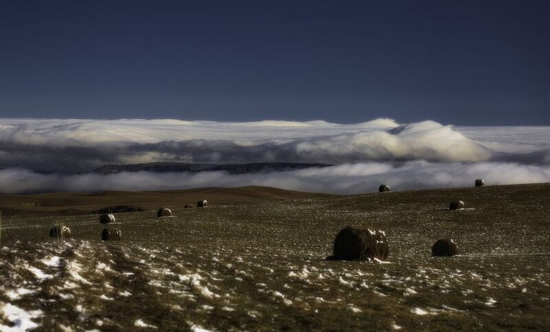 Природа, Туман  фото превью