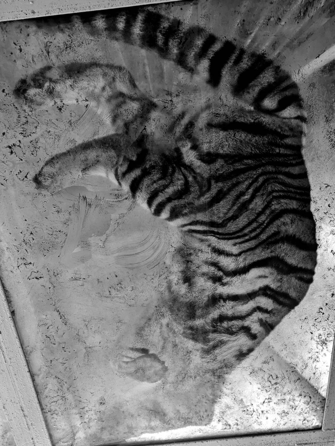 , Екатерина Тумовская