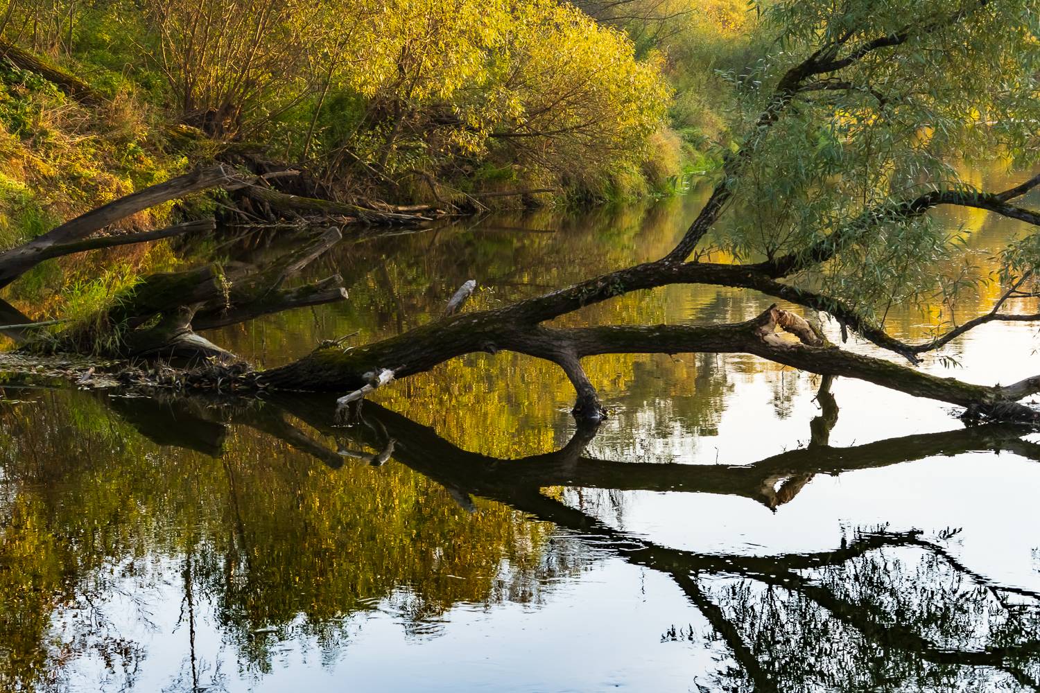 природа, Виктор Парщиков