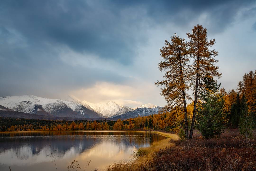 , Станислав Аристов