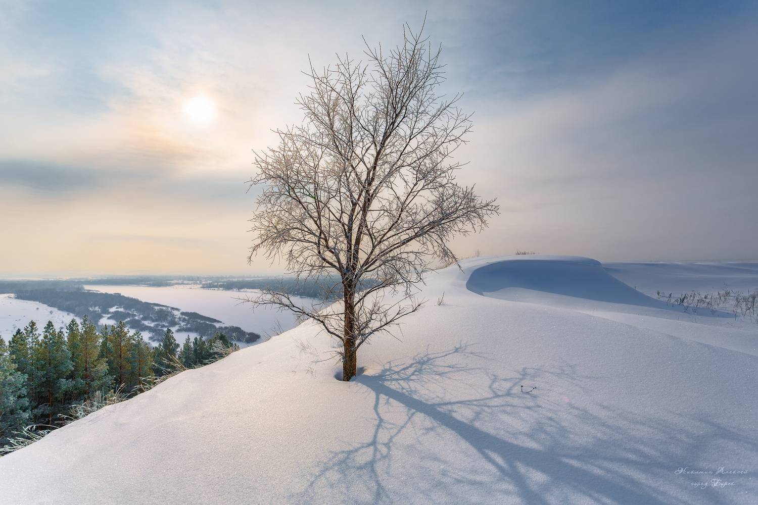 , Никитин Алексей
