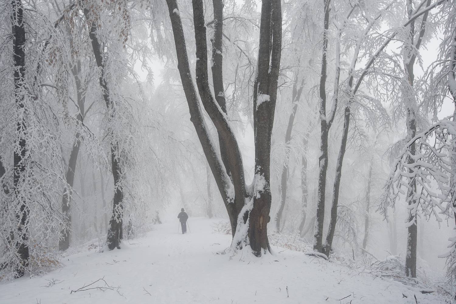 кизиловка, кабардино-балкария, Хасан Журтов