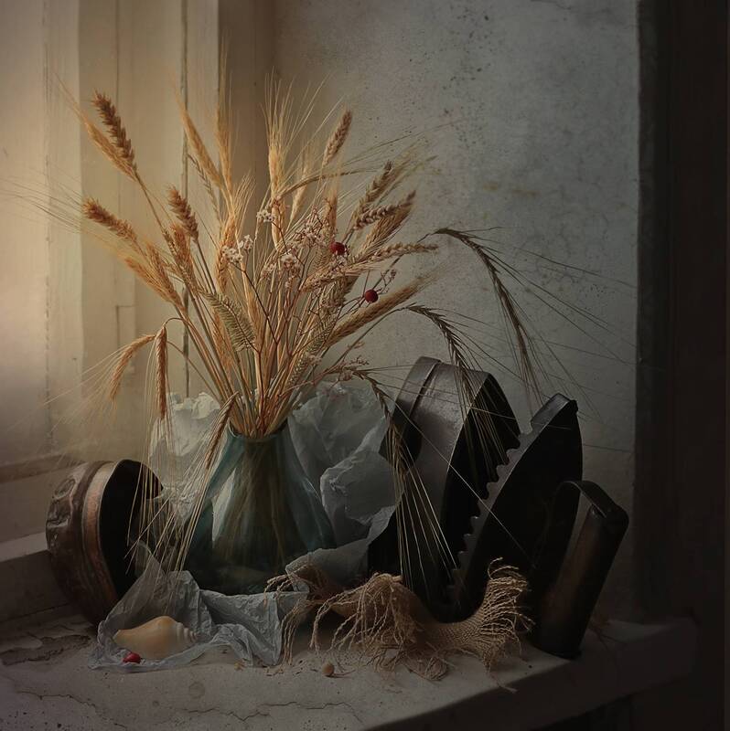 зимнее, утро  фото превью