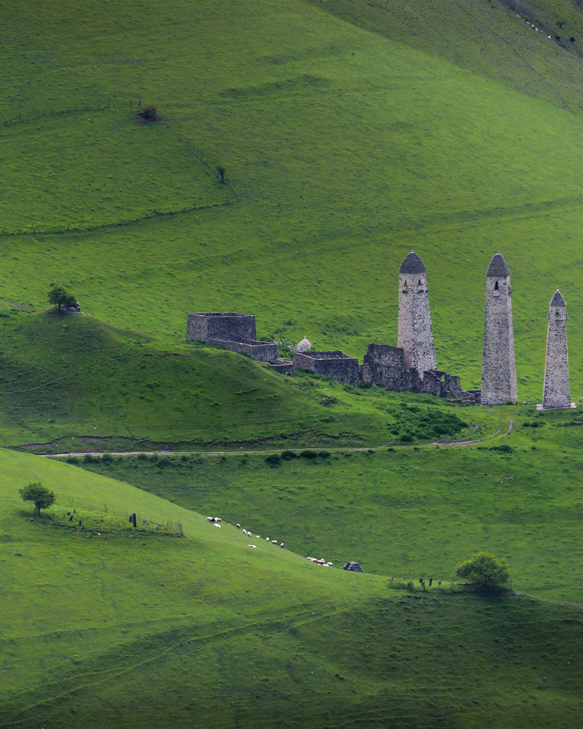 кавказ, ингушетия, эрзи, башни, Фабричный Роман