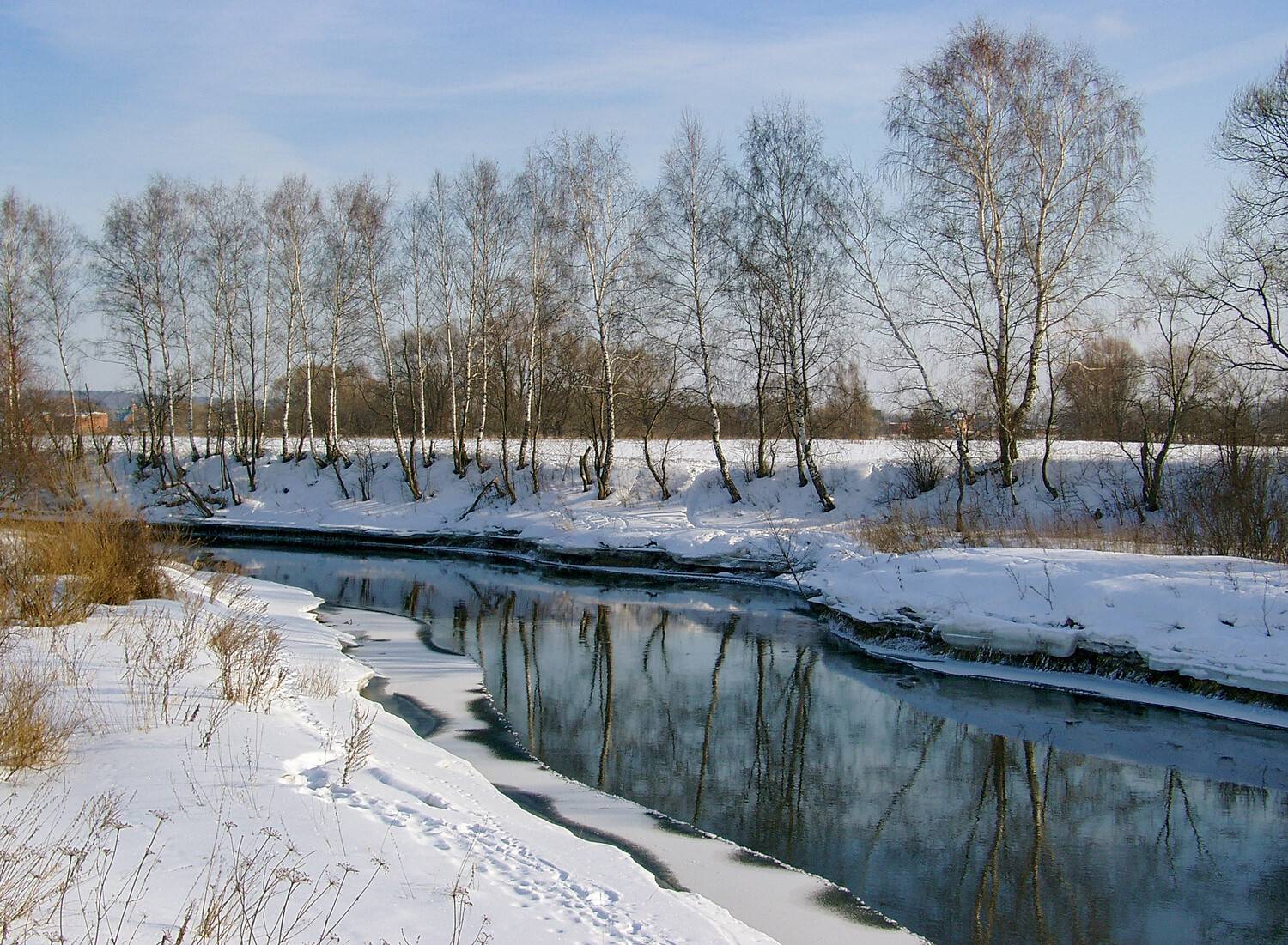 истра, март, Медведев Александр