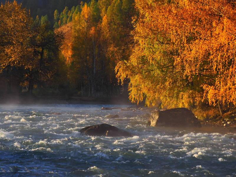 алтай, чуя, горный алтай Говорливая Чуя фото превью
