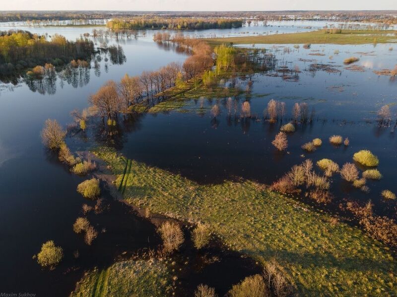 Весна на Клязьме фото превью