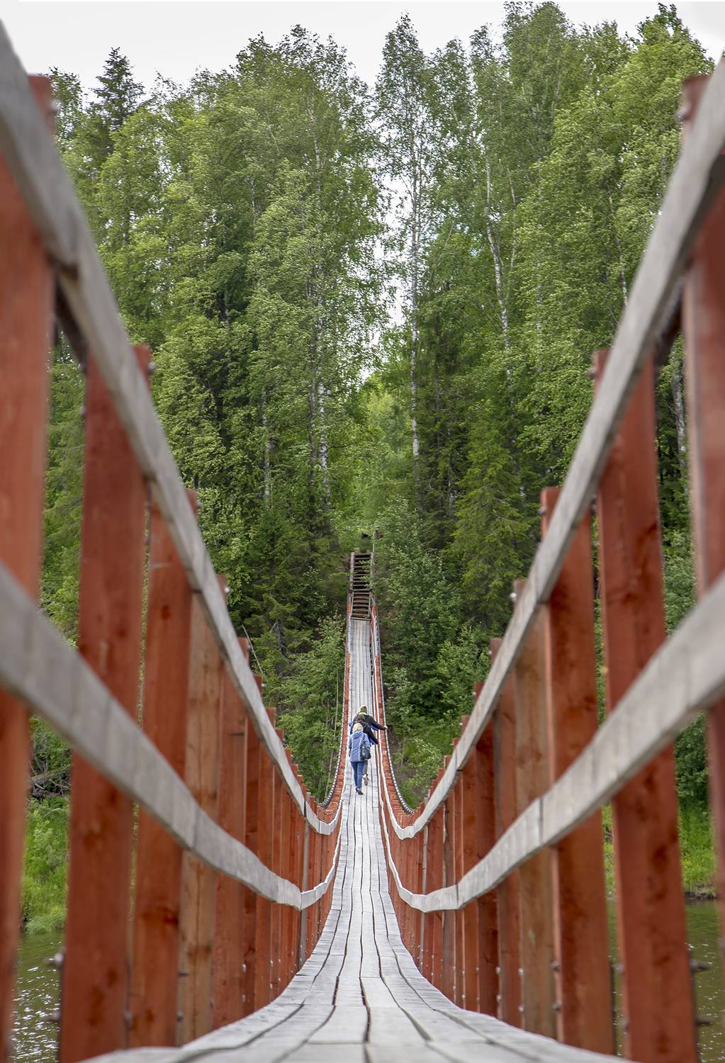 мост, подвесной, река, берег., лес., Анкудинов Леонид