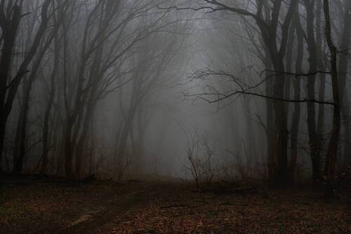 Зимний рассвет