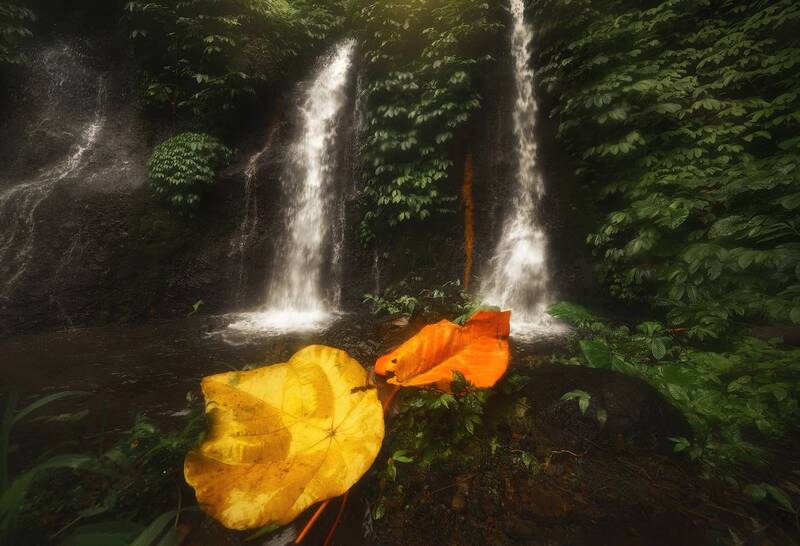 бали, bali, banyumala, waterfalls Banyumala Waterfalls фото превью