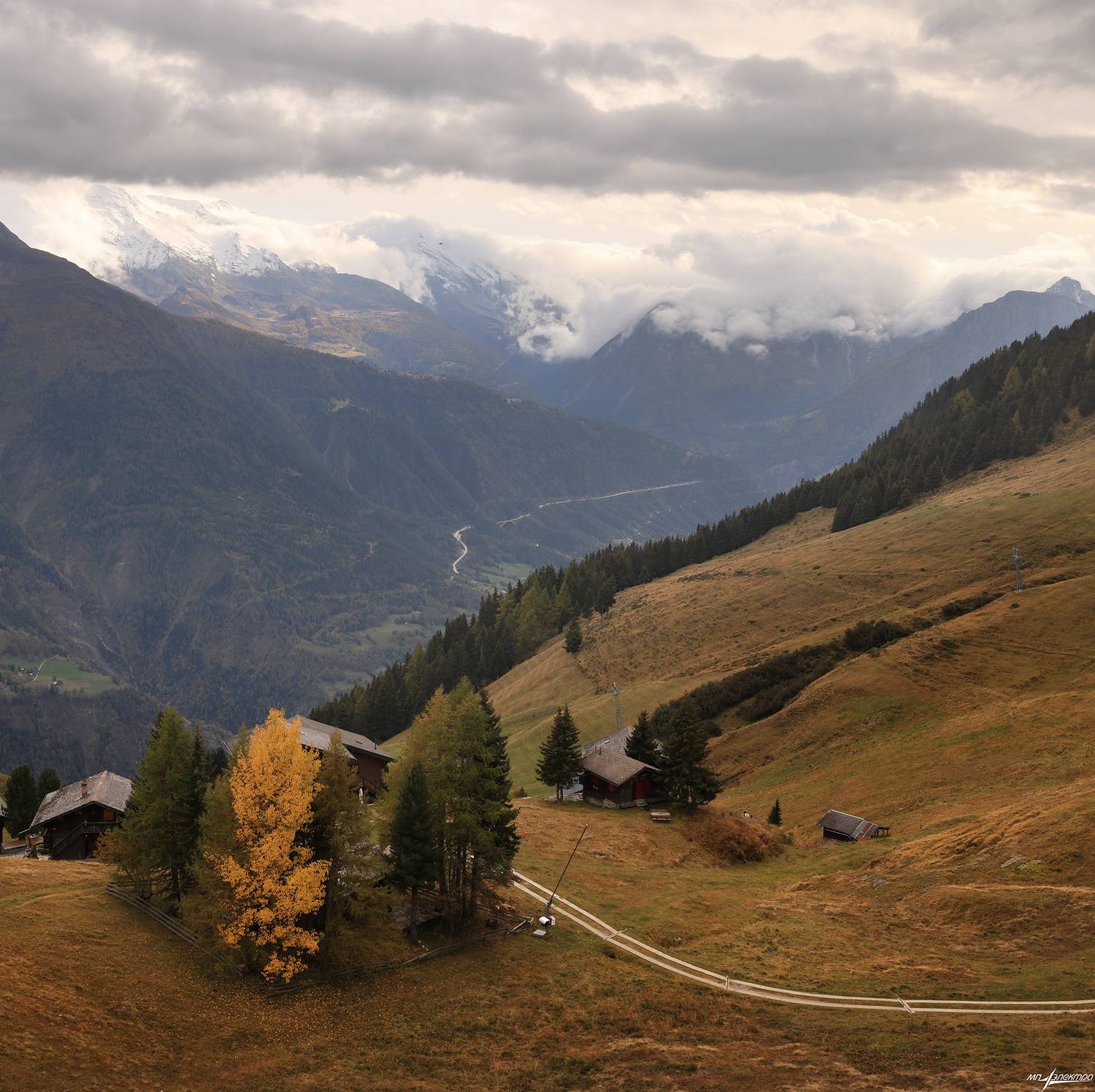 swiss, Матвеев Николай
