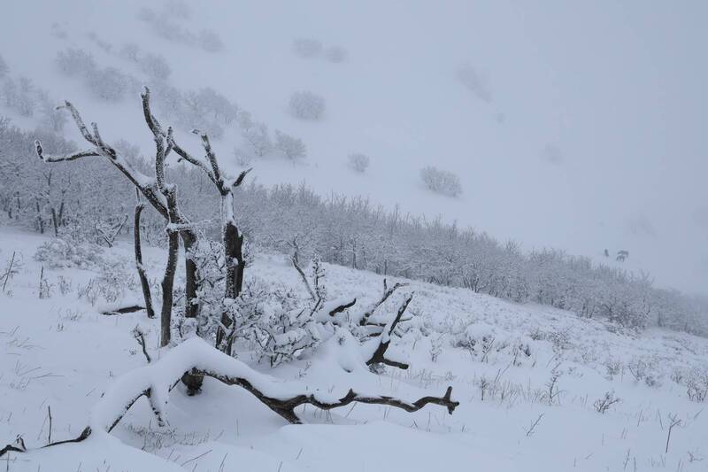 *** фото превью