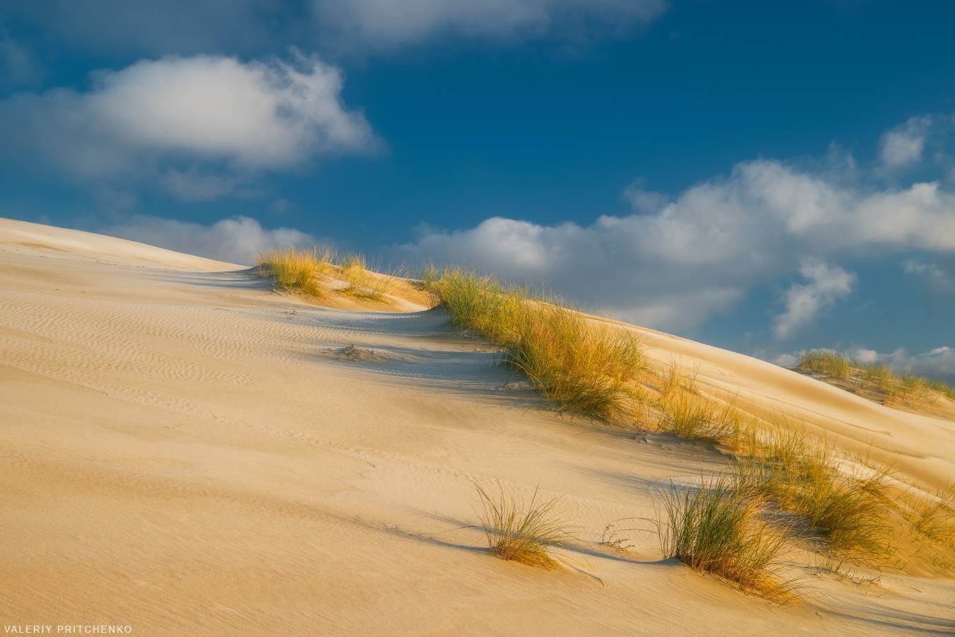 , Валерий Притченко