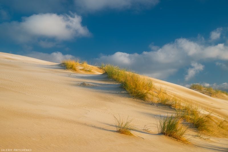 В дюнах Куршской косы фото превью
