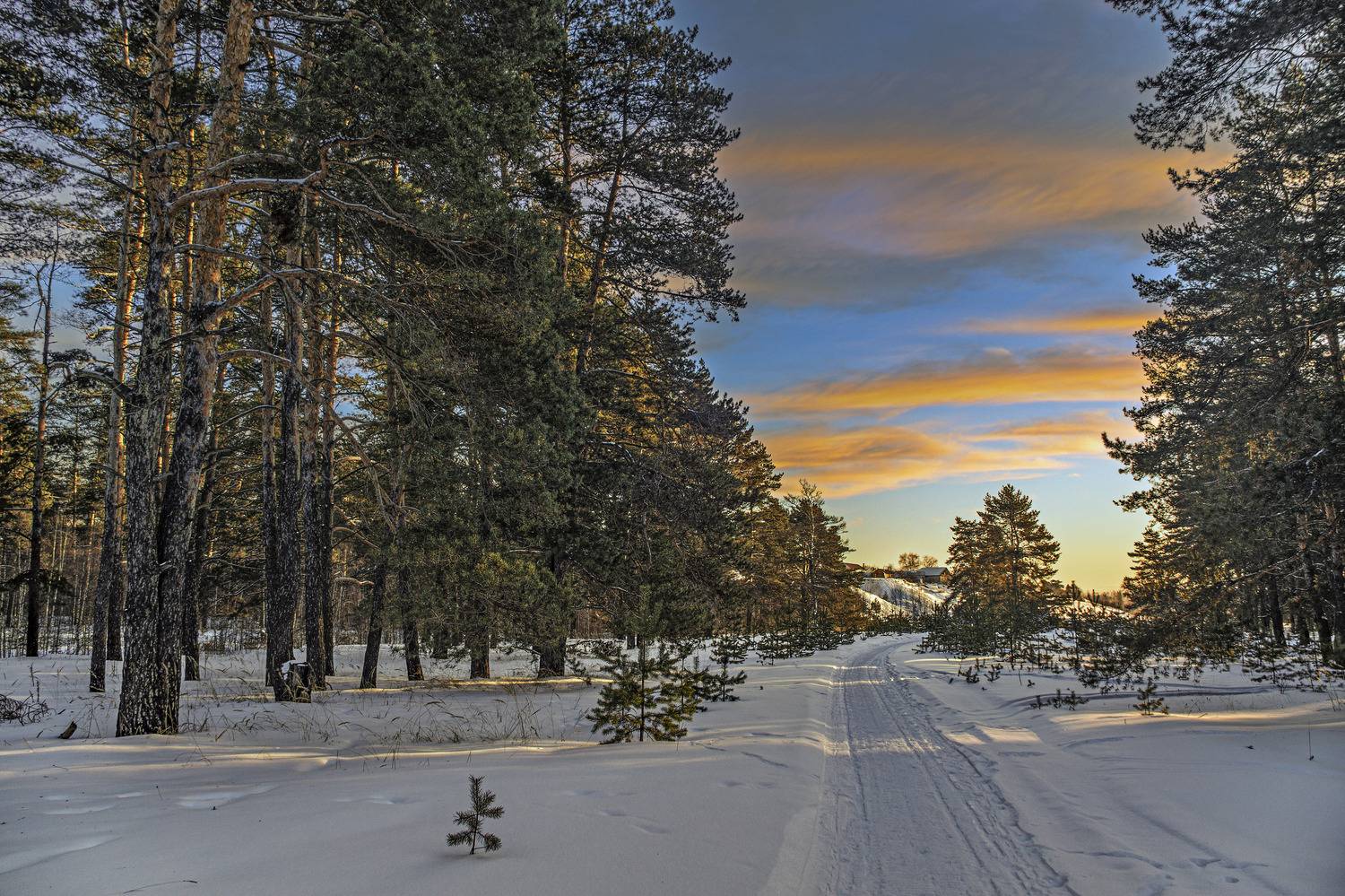 , Шитов Александр