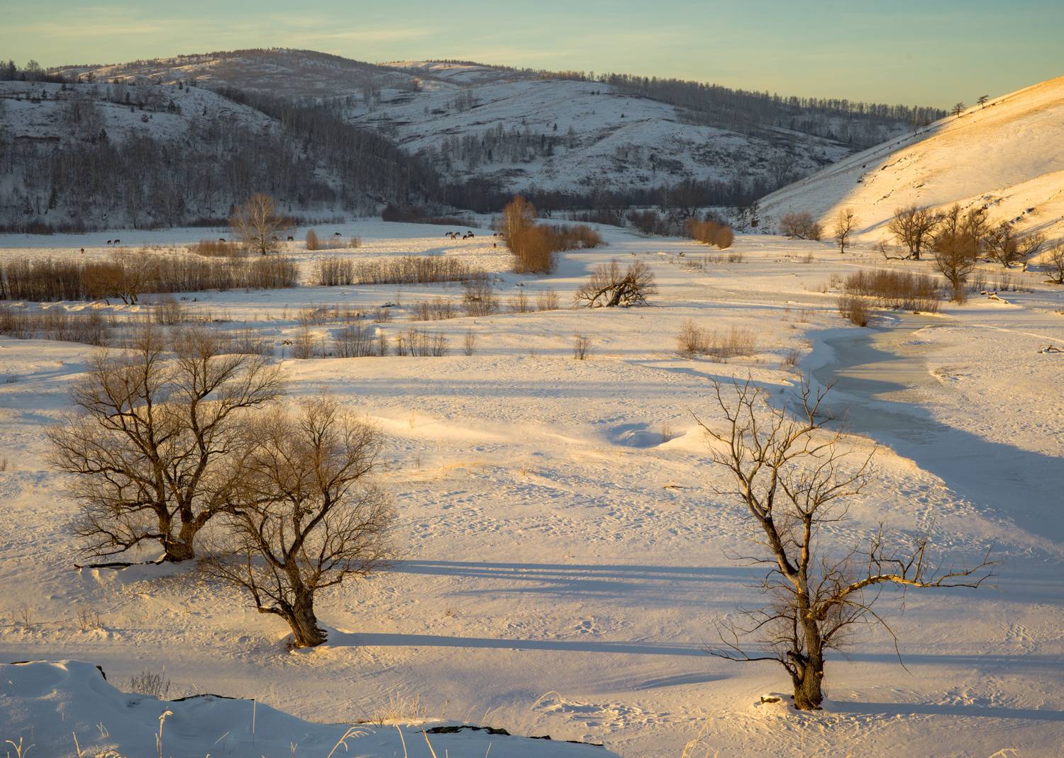 , Шустиков Дмитрий