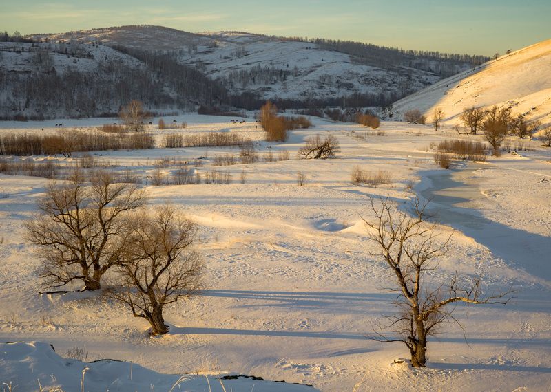 фото превью