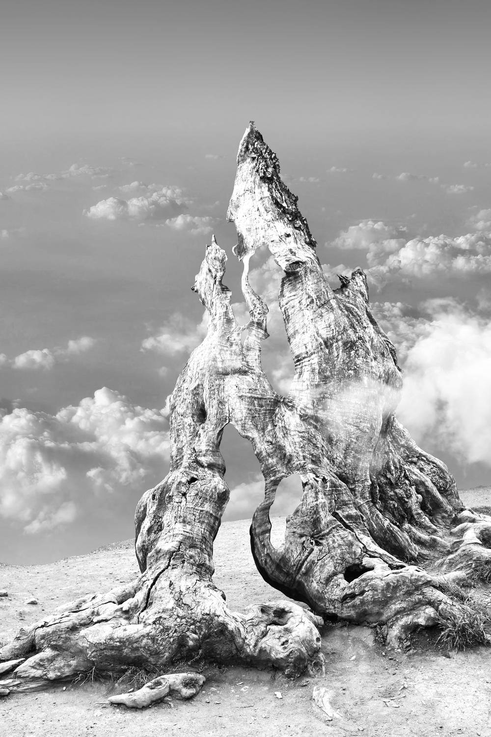 , Гагик Мхитарян