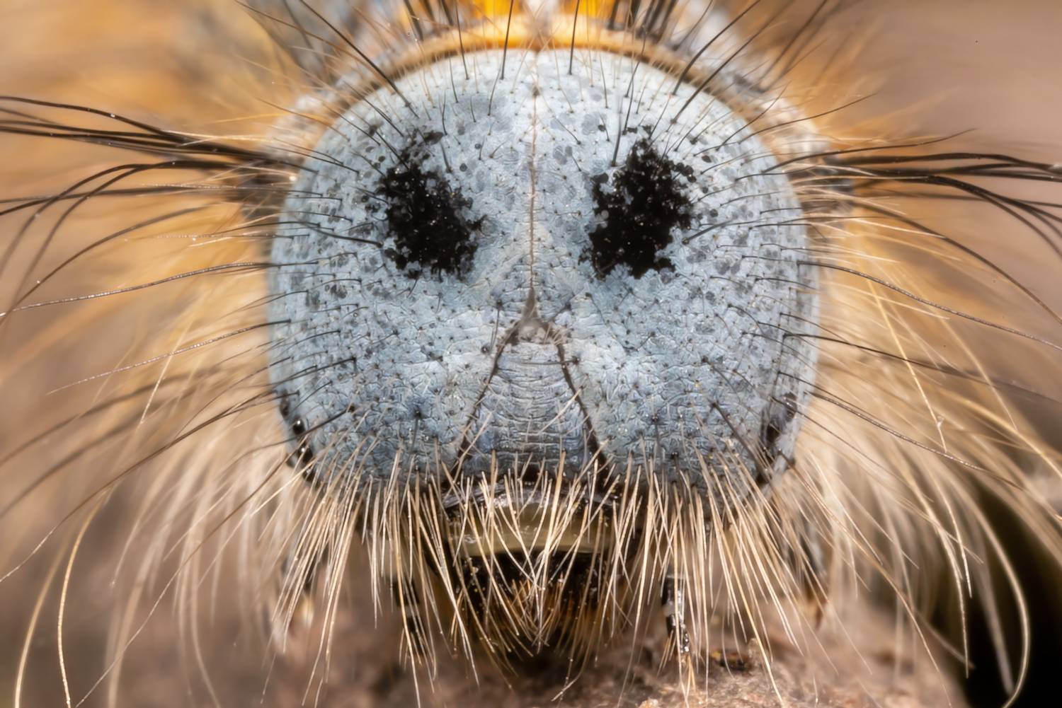 , Кузнецов Дмитрий