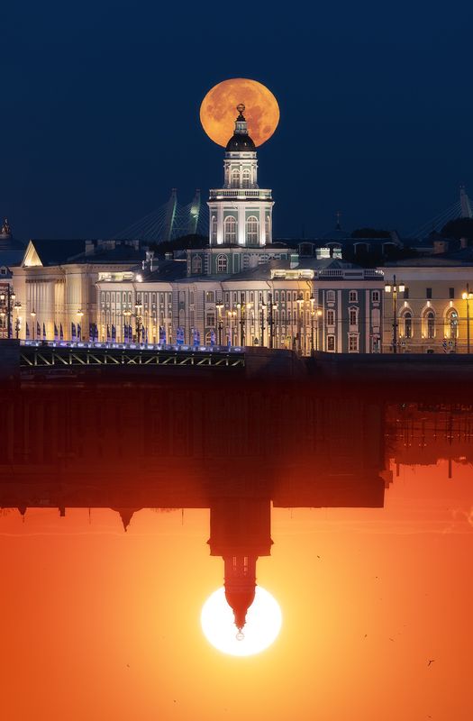 Кунсткамера фото превью