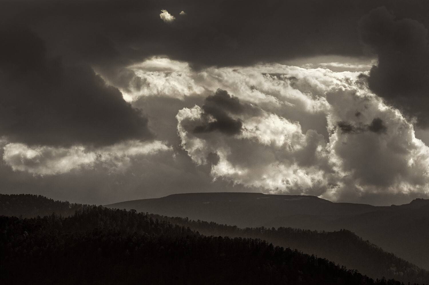 дух, чике-таман, горный алтай, Андреева Светлана