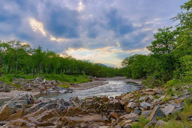 ррудная Летнее... фото превью